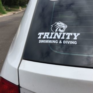 Trinity decals